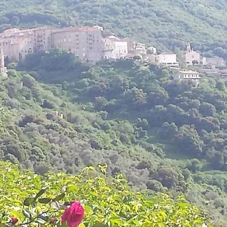 U Finagliolu Sartène