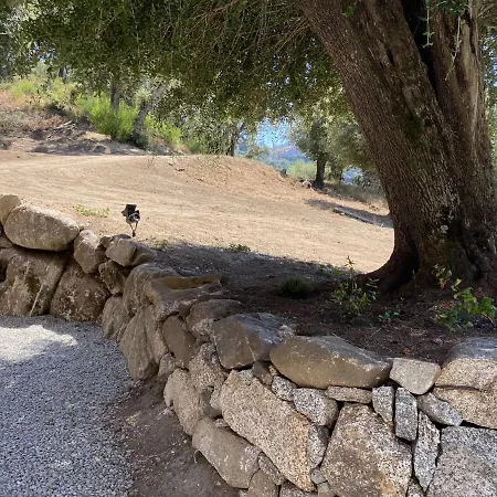 U Finagliolu Sartene (Corsica)